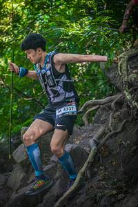 BIB: 4337
                            <button type="button" onclick="openModal(7073244)" class="btn btn-primary btn-sm float-right btn-popup" data-toggle="modal" data-target=".modal-high-quality">
                        <i class="fas fa-shopping-cart"></i> Add to Cart
                    </button>
                                            <button type="button" onclick="isThisMe(7073244, true)" class="btn btn-success btn-sm float-right btn-popup btn-isme hidden" data-toggle="tooltip" data-placement="bottom" title="นี่คือรูปของคุณใช่ไหม คลิกที่นี่เพื่อเอาเข้าอัลบั้ม">
                        <i class="fas fa-plus"></i> Add to album
                    </button>
                    <button type="button" onclick="isThisMe(7073244, false)" class="btn btn-warning btn-sm float-right btn-popup btn-isnotme hidden">
                        <i class="fas fa-ban"></i> Remove from album
                    </button>